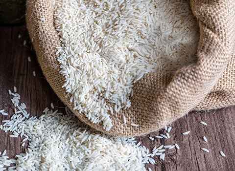خرید و فروش برنج سرلاشه شیرودی با شرایط فوق العاده